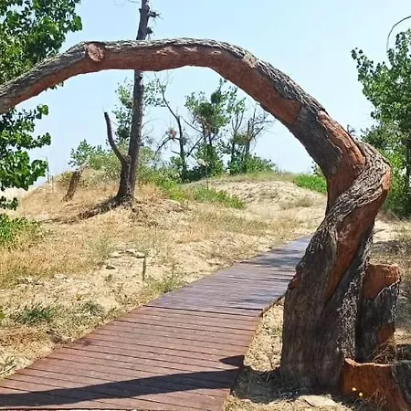 Gerber 2 Lejlighed Sunny Beach