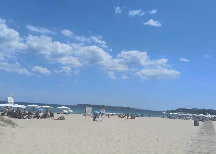 Gerber 2 Sunny Beach